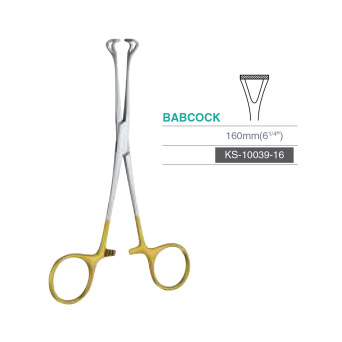 BABCOCK