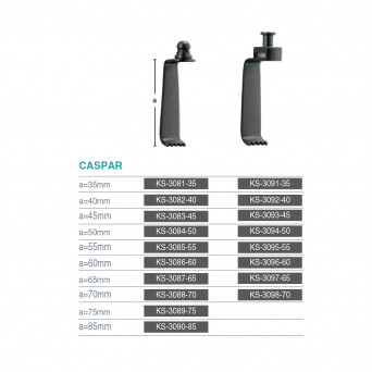 CASPAR
