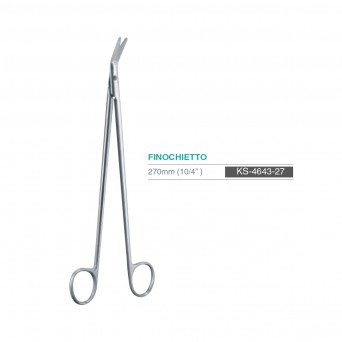 FINOCHIETTO