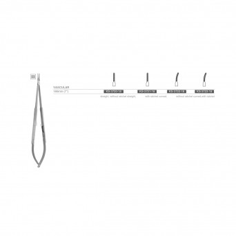 VASCULAR
