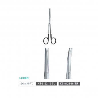 LEXER