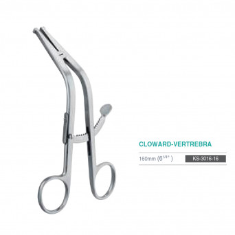 CLOWARD-VERTREBRA