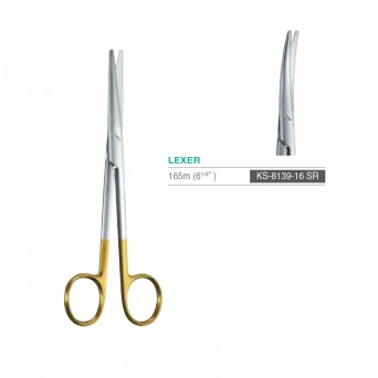 LEXER