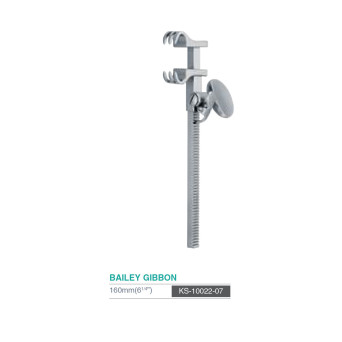 BAILEY GIBBON