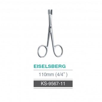 EISELSBERG