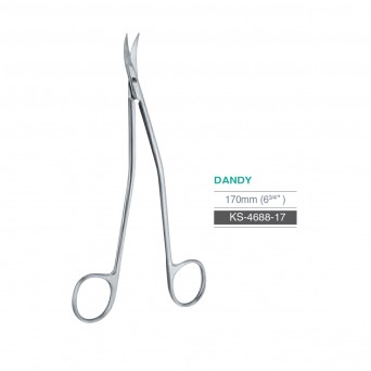 DANDY