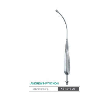 ANDREWS-PYNCHON