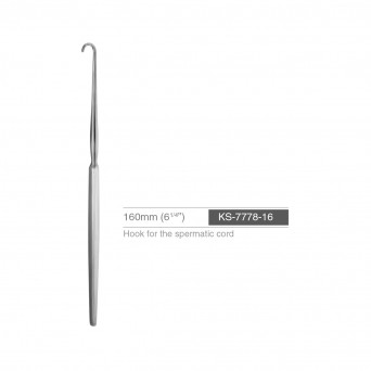 SPERMATIC CORD