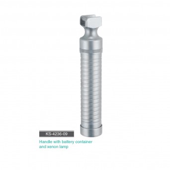Handle with battery container and xenon lamp