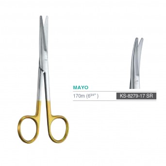 MAYO