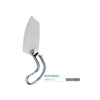 BERGMANN