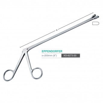 EPPENDORFER