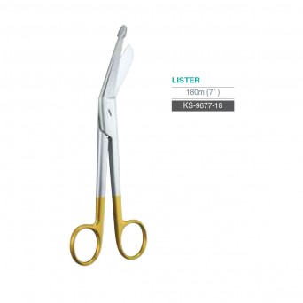 LISTER